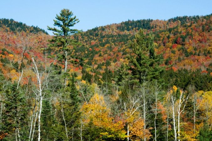 Autumn Hills Foliage, Missouri Ozarks