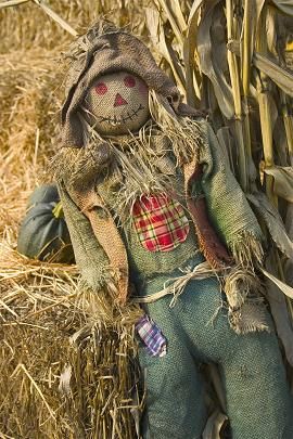 Scarecrow Leaning on the Hay Bales