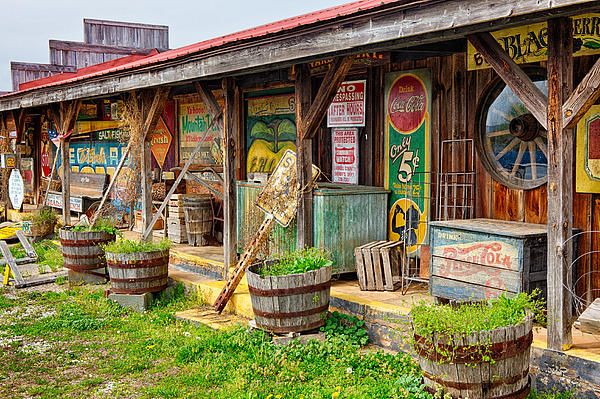 Artwork -- "Mt. Airy Old Country Store II" by Dan Carmichael. (Prints available at dan-carmichael.pixels.com)
