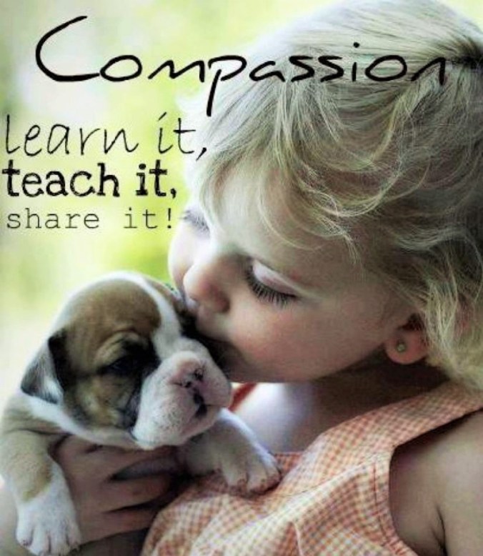 Image Credit -- TheDailyQuotes.com