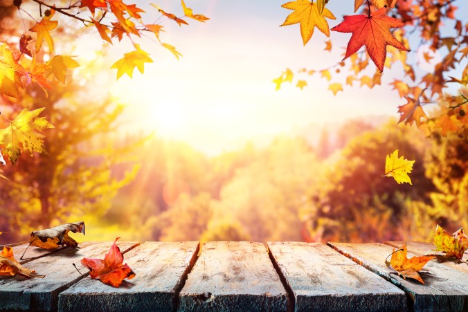 Image via Shutterstock by Romolo Tavani